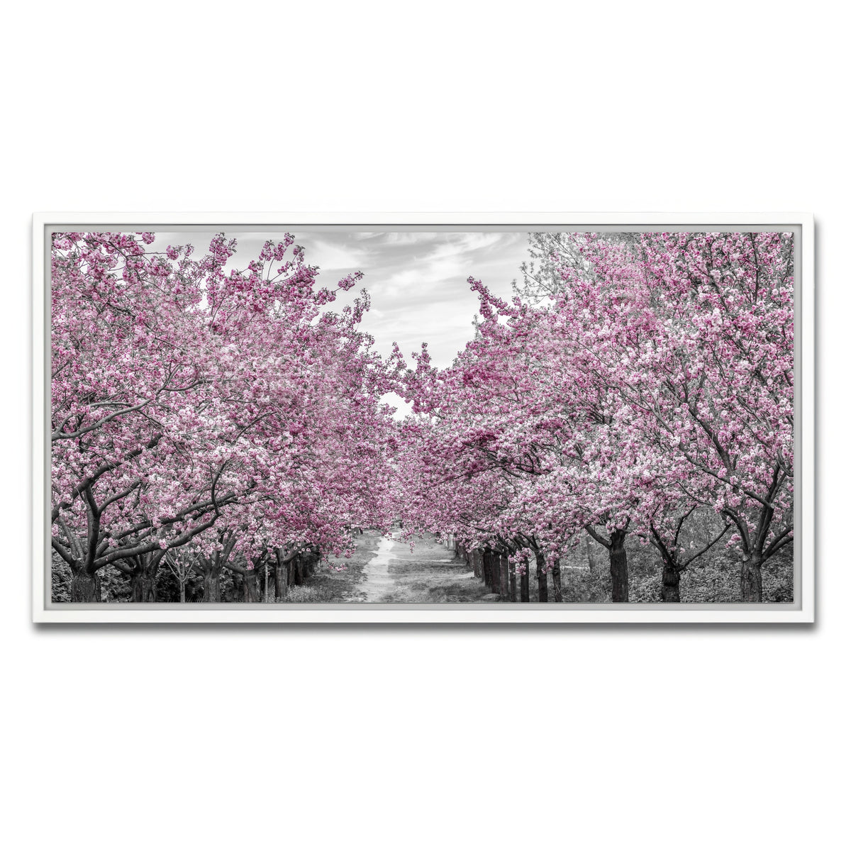 AUTO-MOCKUP WHITE | Charming Cherry Blossom Alley | 1 Piece | White Framed Canvas | group=2x1