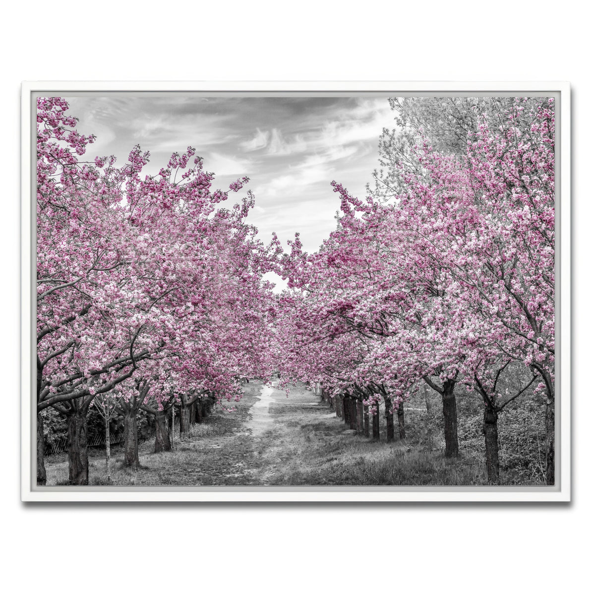 AUTO-MOCKUP WHITE | Charming Cherry Blossom Alley | 1 Piece | White Framed Canvas | group=4x3
