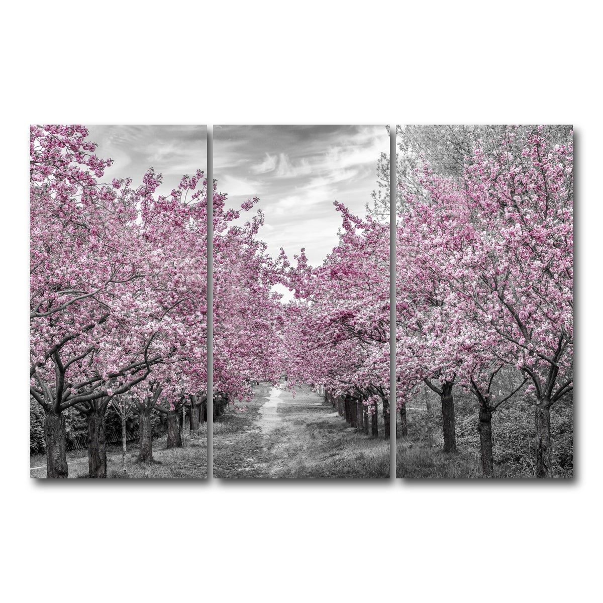 AUTO-MOCKUP WHITE | Charming Cherry Blossom Alley | 3 Piece | Gallery Wrap Canvas | group=12x24