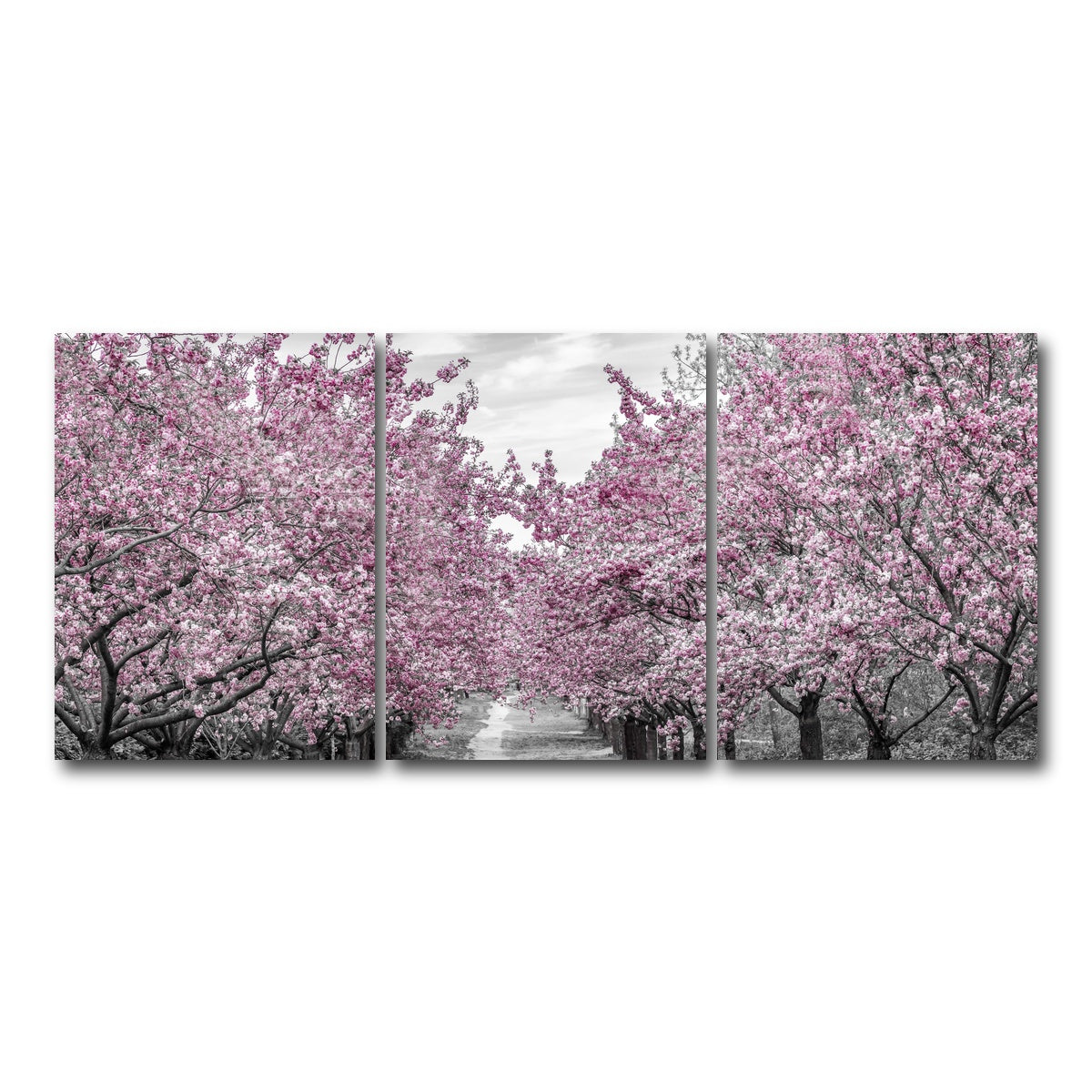AUTO-MOCKUP WHITE | Charming Cherry Blossom Alley | 3 Piece | Gallery Wrap Canvas | group=18x24