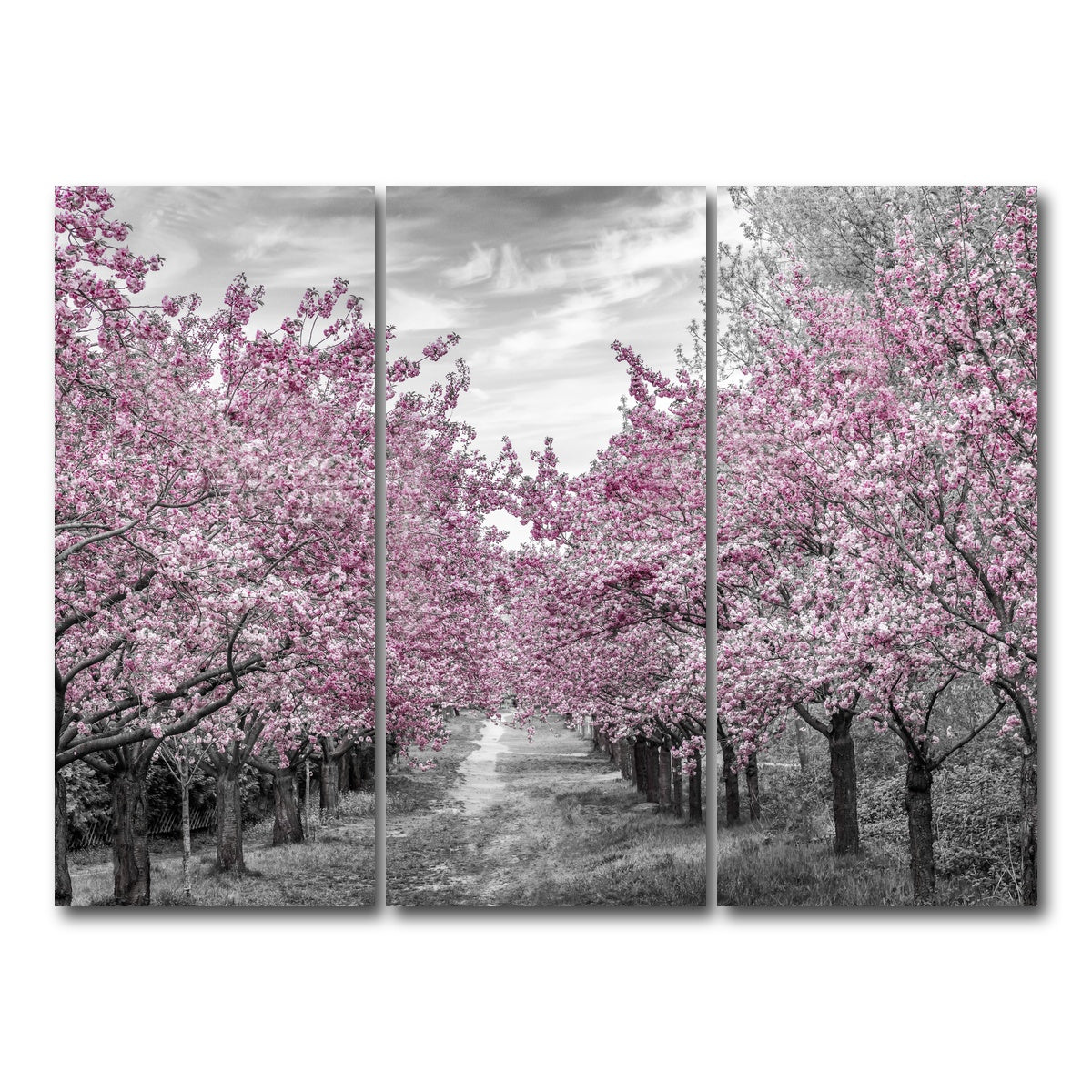 AUTO-MOCKUP WHITE | Charming Cherry Blossom Alley | 3 Piece | Gallery Wrap Canvas | group=8x18