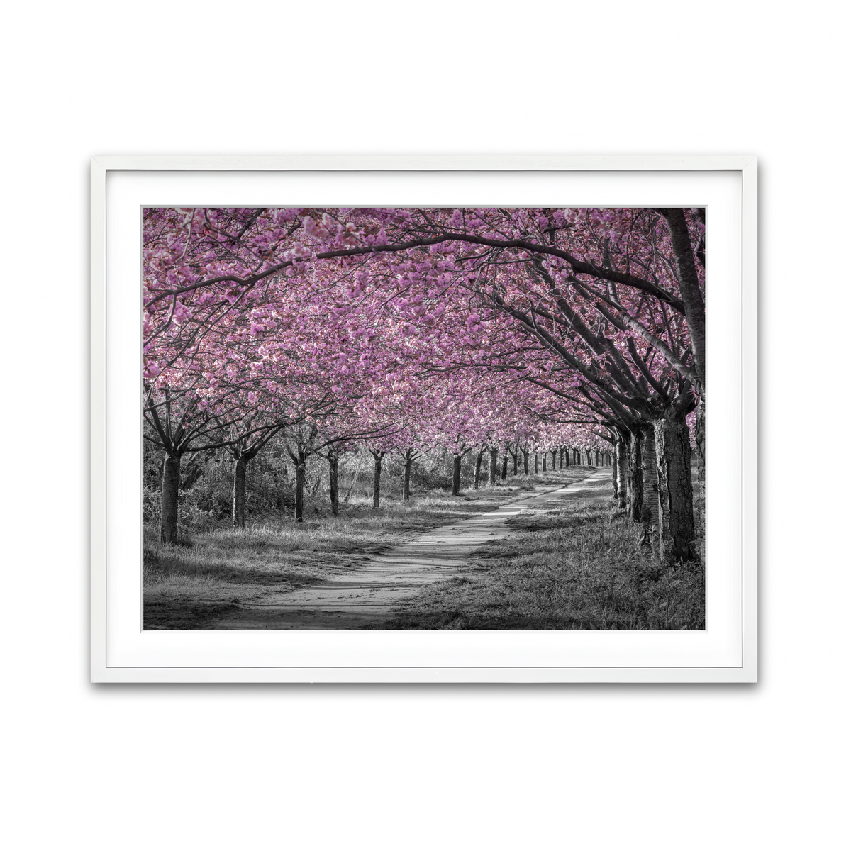 Framed Print 4x3 White