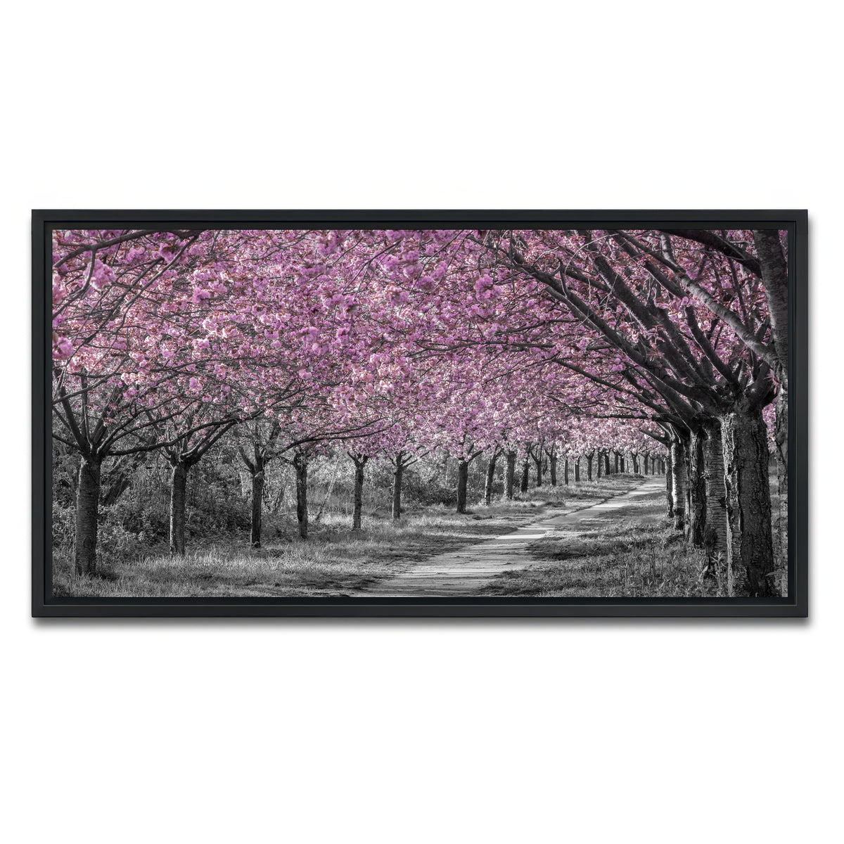 AUTO-MOCKUP WHITE | Charming cherry blossom alley in pink | 1 Piece | Black Framed Canvas | group=2x1