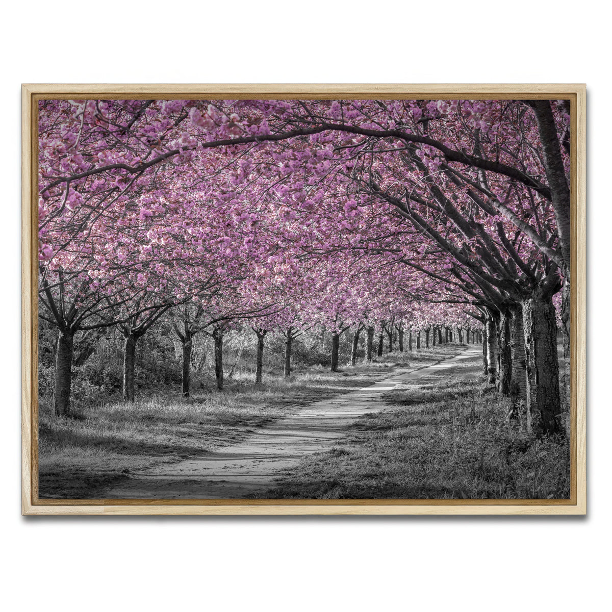 AUTO-MOCKUP WHITE | Charming cherry blossom alley in pink | 1 Piece | Natural Framed Canvas | group=4x3