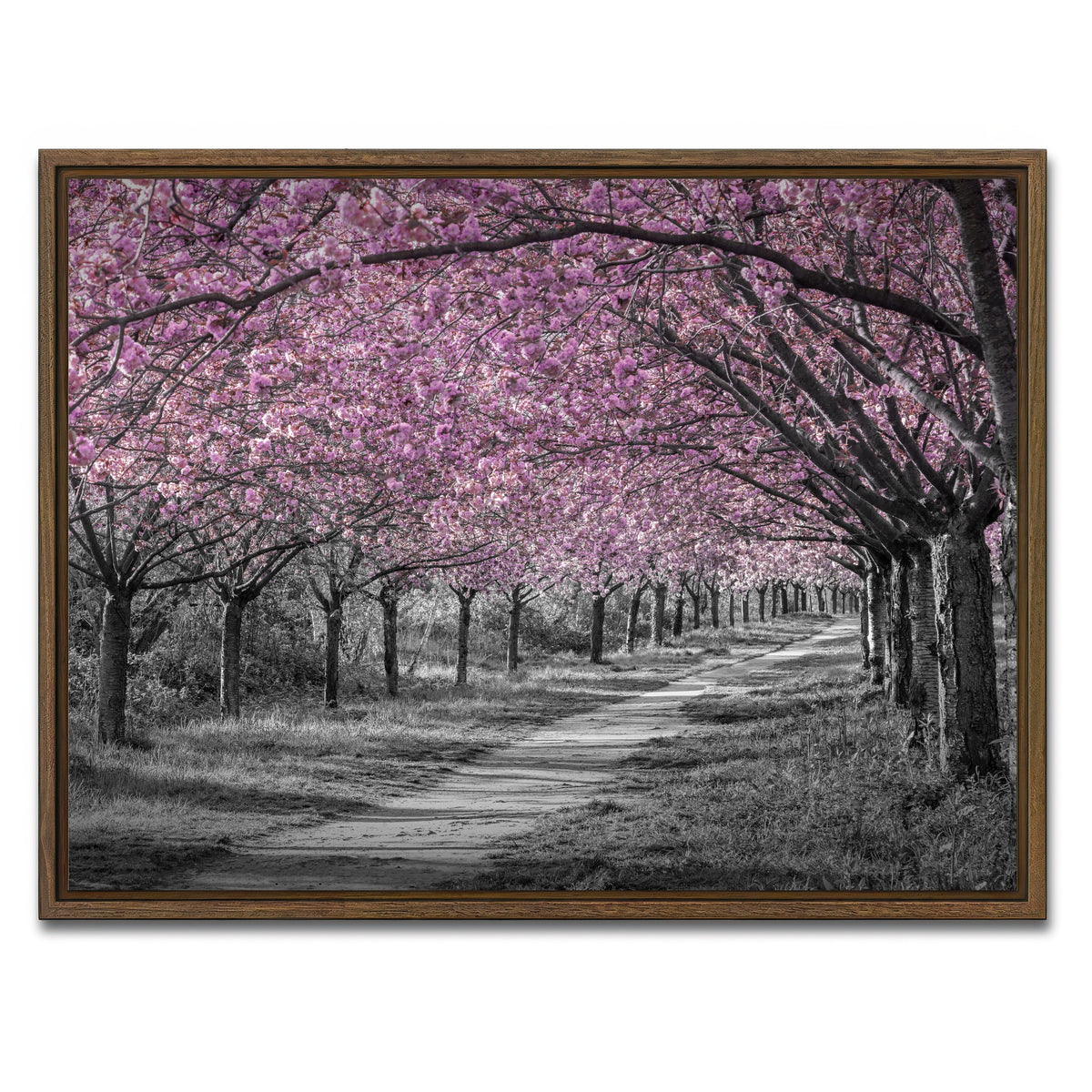 AUTO-MOCKUP WHITE | Charming cherry blossom alley in pink | 1 Piece | Walnut Framed Canvas | group=4x3