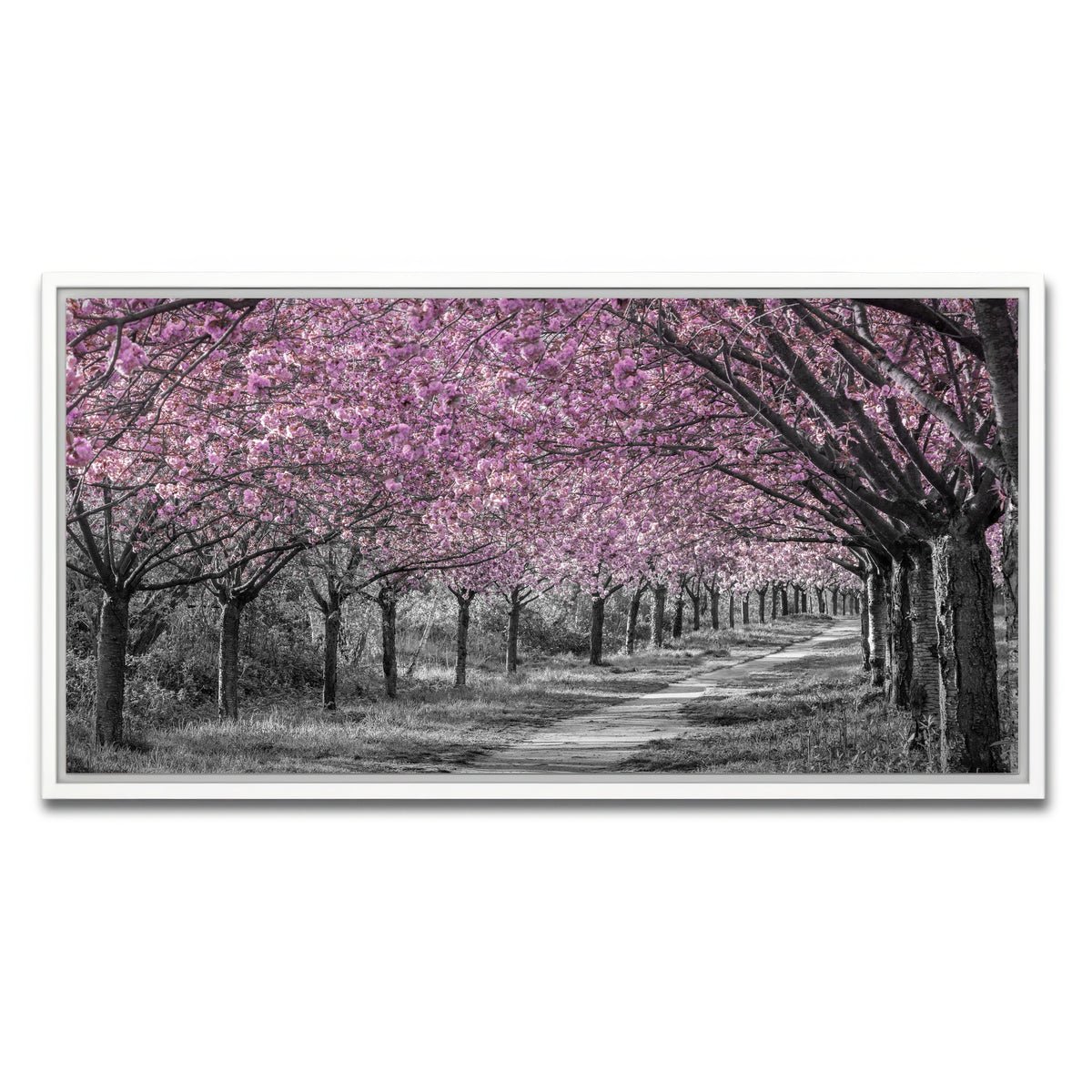AUTO-MOCKUP WHITE | Charming cherry blossom alley in pink | 1 Piece | White Framed Canvas | group=2x1