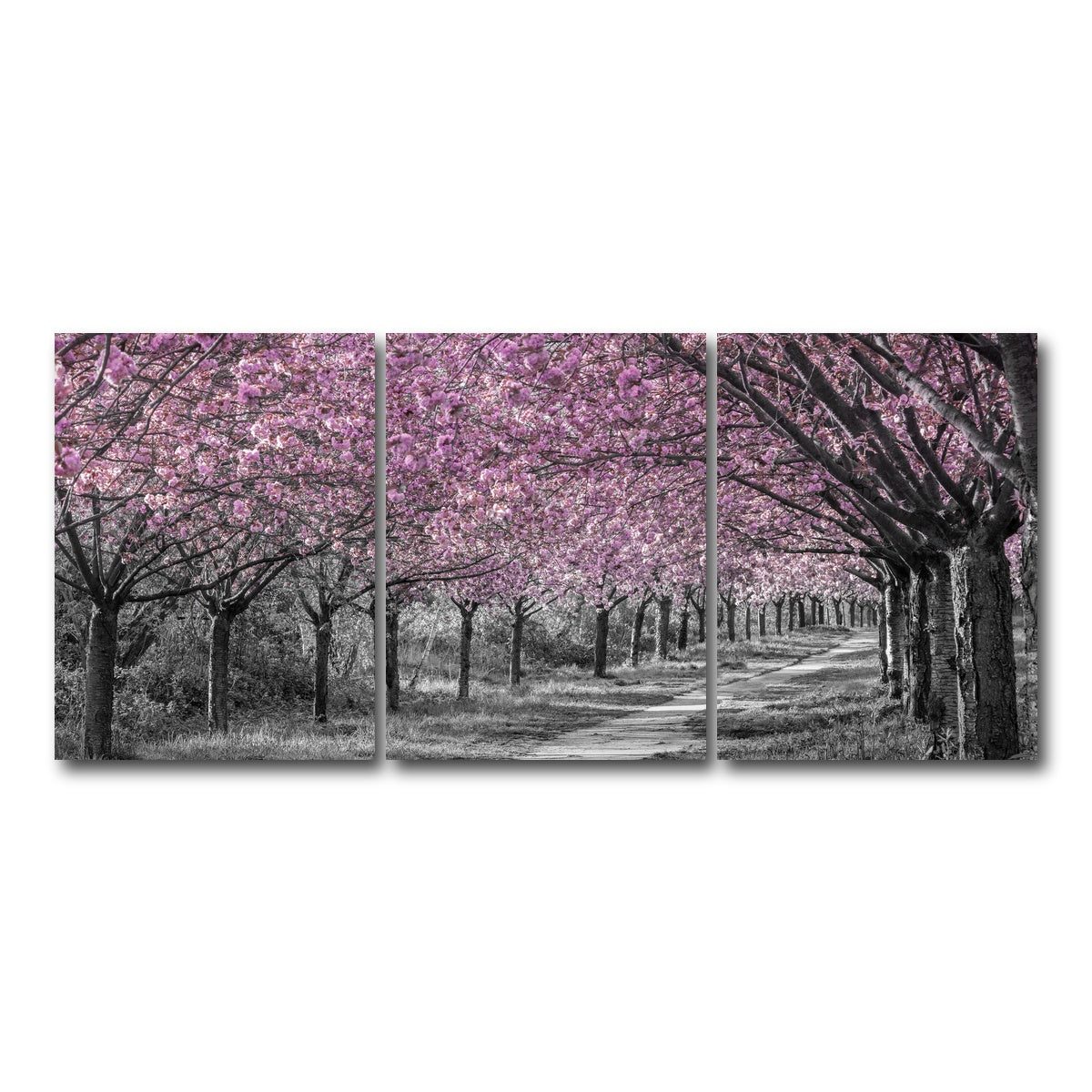 AUTO-MOCKUP WHITE | Charming cherry blossom alley in pink | 3 Piece | Gallery Wrap Canvas | group=18x24