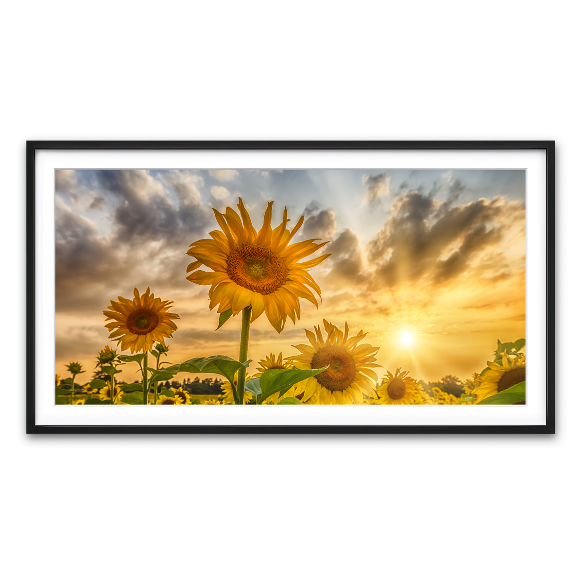 Framed Print 2x1 Black