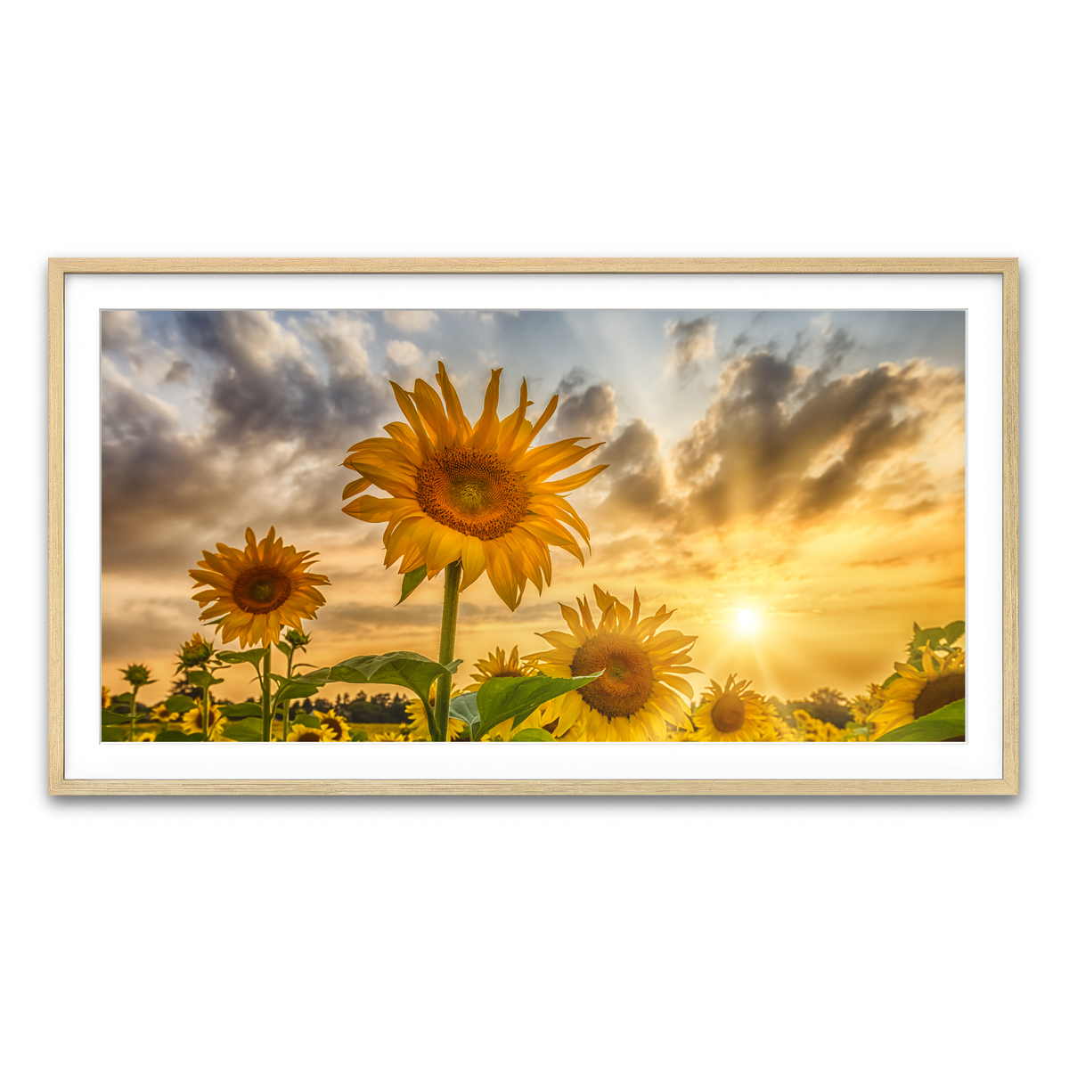 Framed Print 2x1 Natural