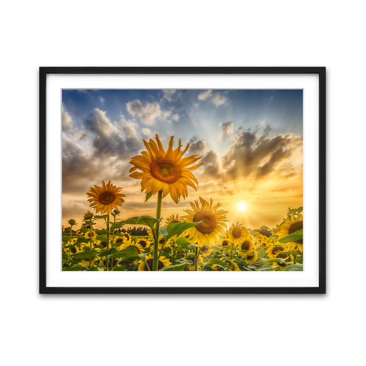Framed Print 4x3 Black