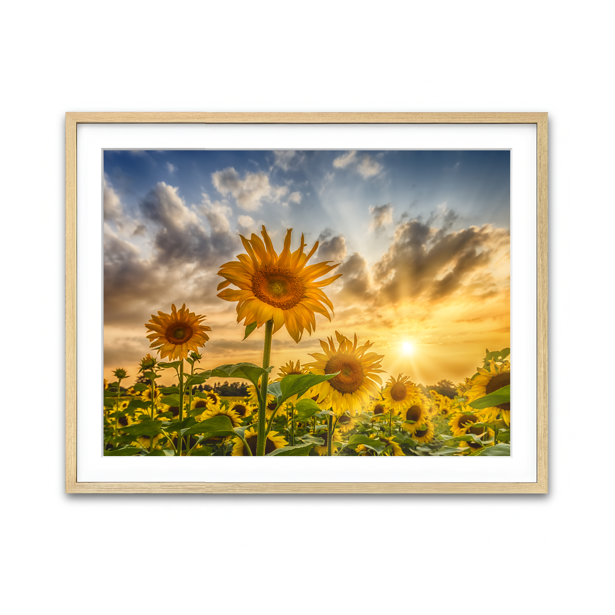 Framed Print 4x3 Natural