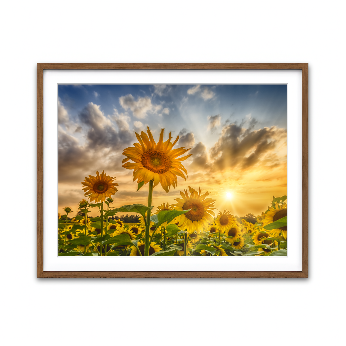 Framed Print 4x3 Walnut