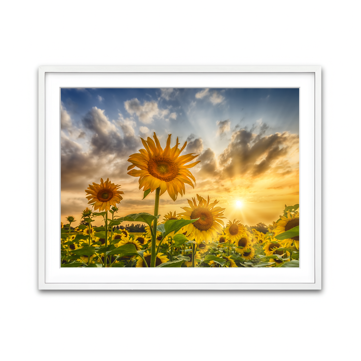 Framed Print 4x3 White