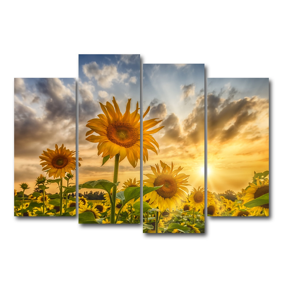 AUTO-MOCKUP WHITE | Charming sunflowers in sunset | 4 Piece | Gallery Wrap Canvas | group=4_normal