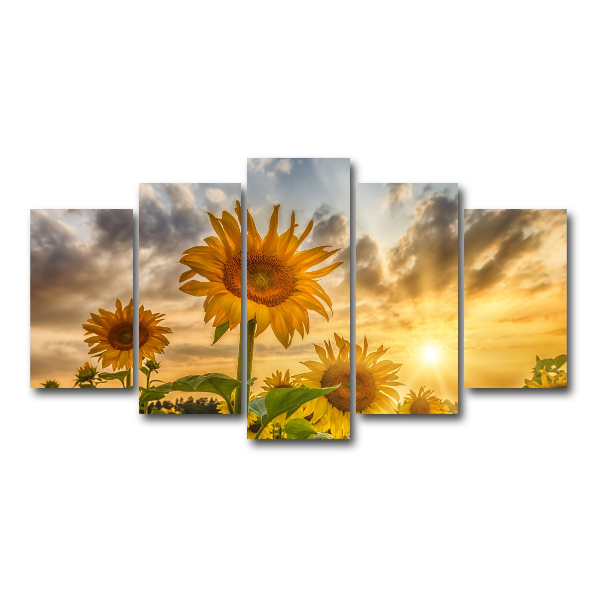 AUTO-MOCKUP WHITE | Charming sunflowers in sunset | 5 Piece | Gallery Wrap Canvas | group=5_normal