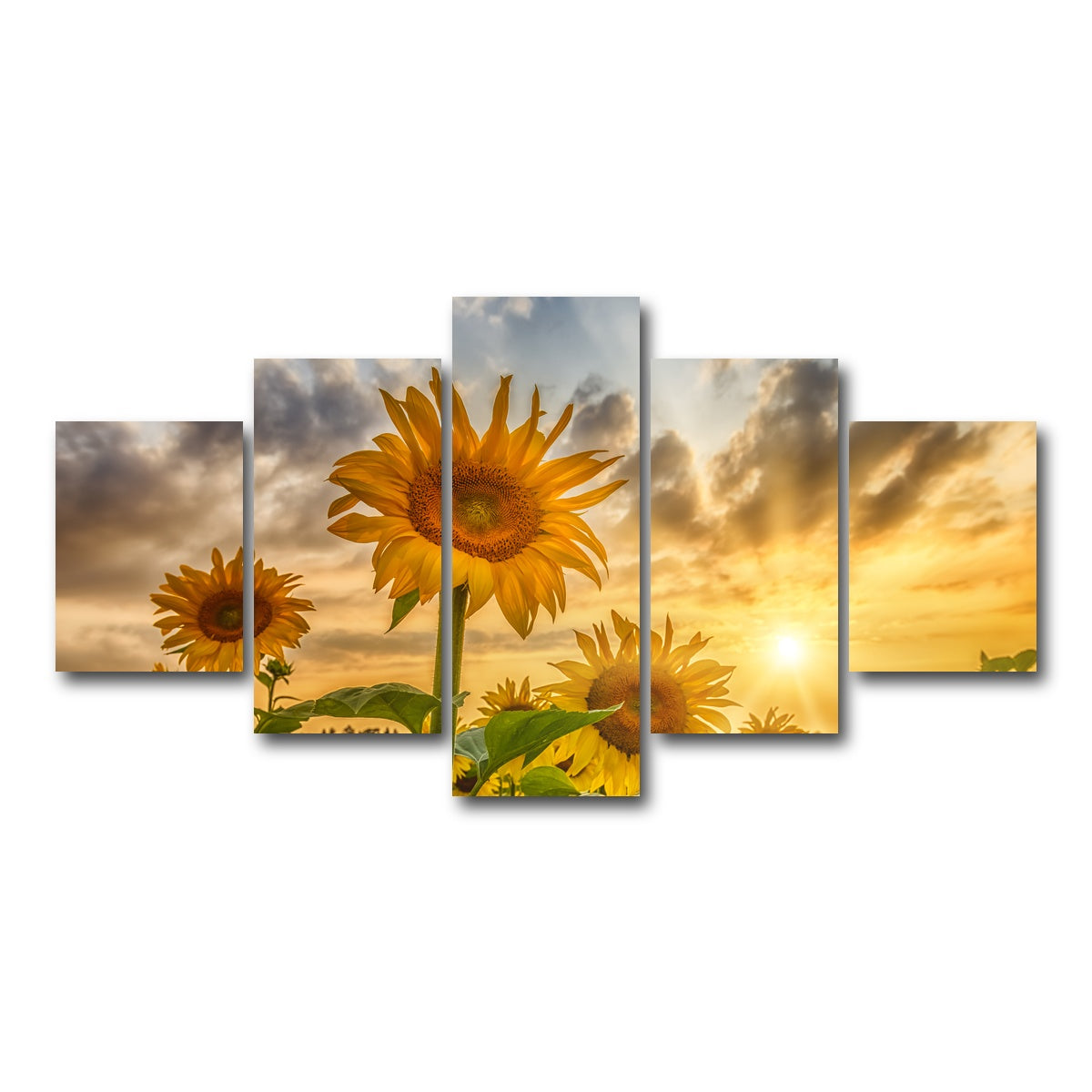AUTO-MOCKUP WHITE | Charming sunflowers in sunset | 5 Piece | Gallery Wrap Canvas | group=5_short