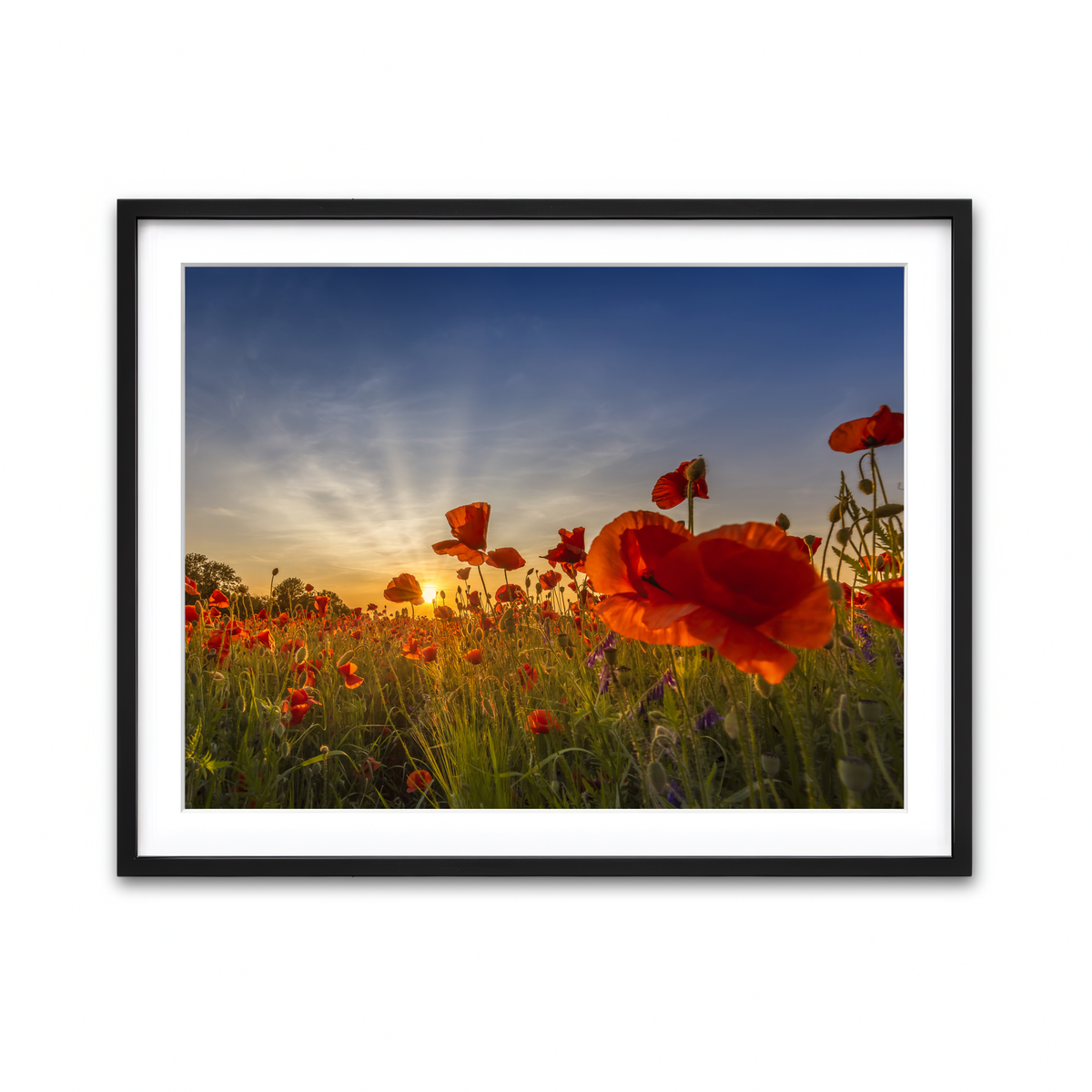 Framed Print 4x3 Black