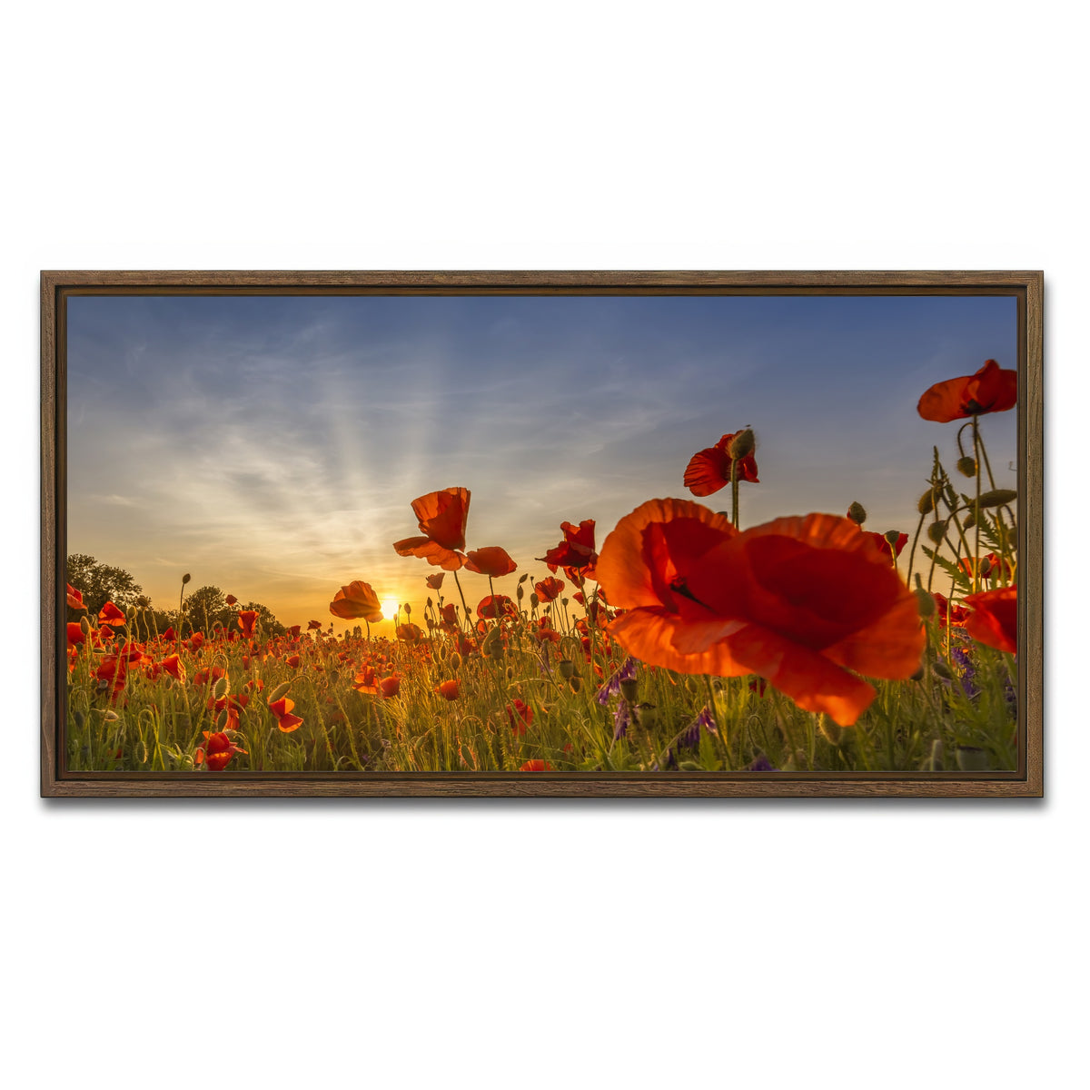 AUTO-MOCKUP WHITE | Charming sunset in poppy field | 1 Piece | Walnut Framed Canvas | group=2x1