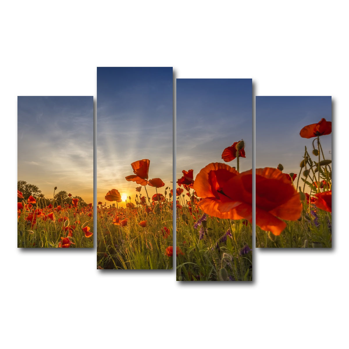 AUTO-MOCKUP WHITE | Charming sunset in poppy field | 4 Piece | Gallery Wrap Canvas | group=4_short