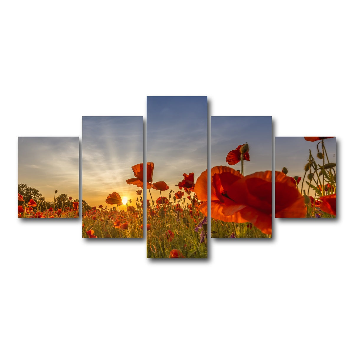 AUTO-MOCKUP WHITE | Charming sunset in poppy field | 5 Piece | Gallery Wrap Canvas | group=5_short