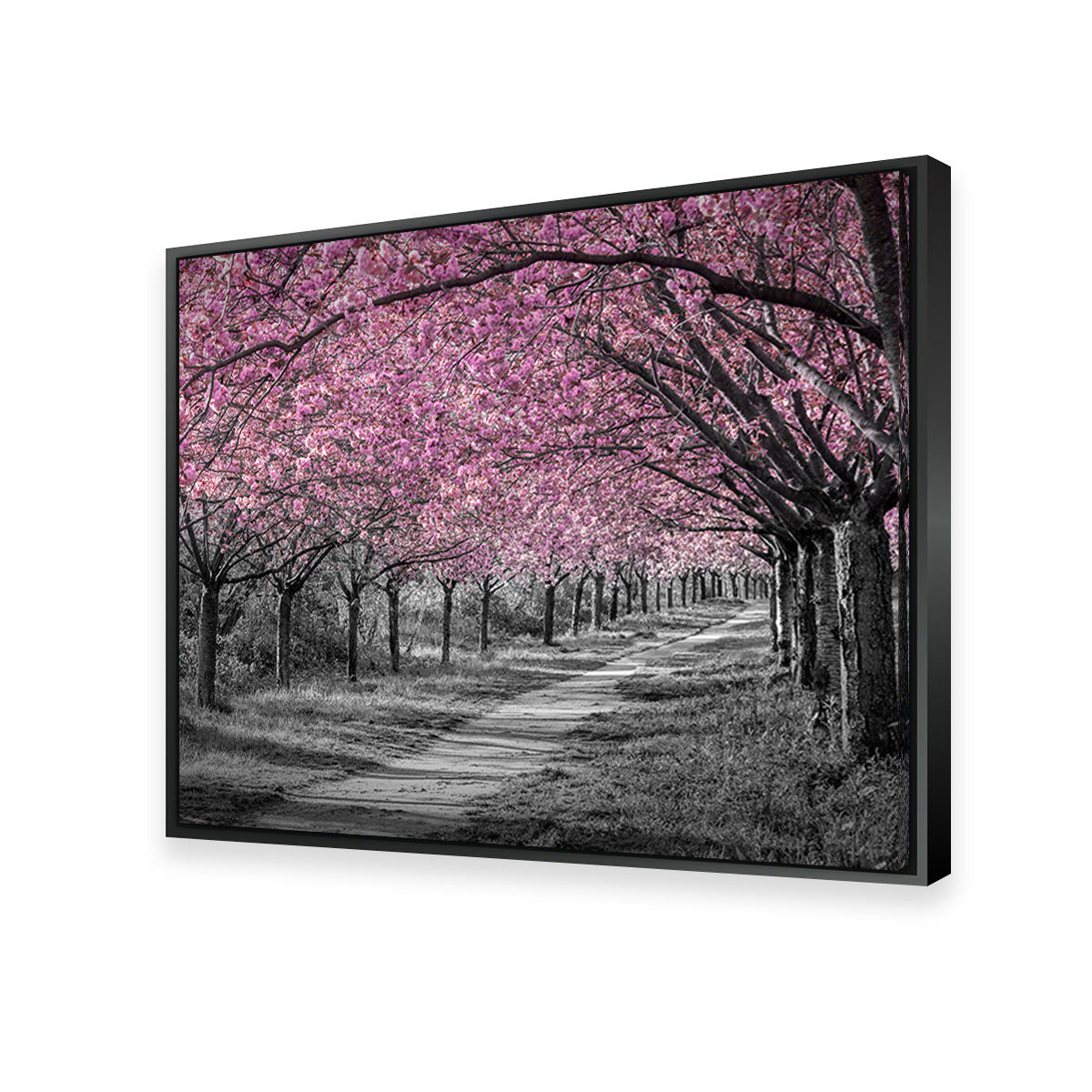 Charming Cherry Blossom Alley in Pink Wall Art
