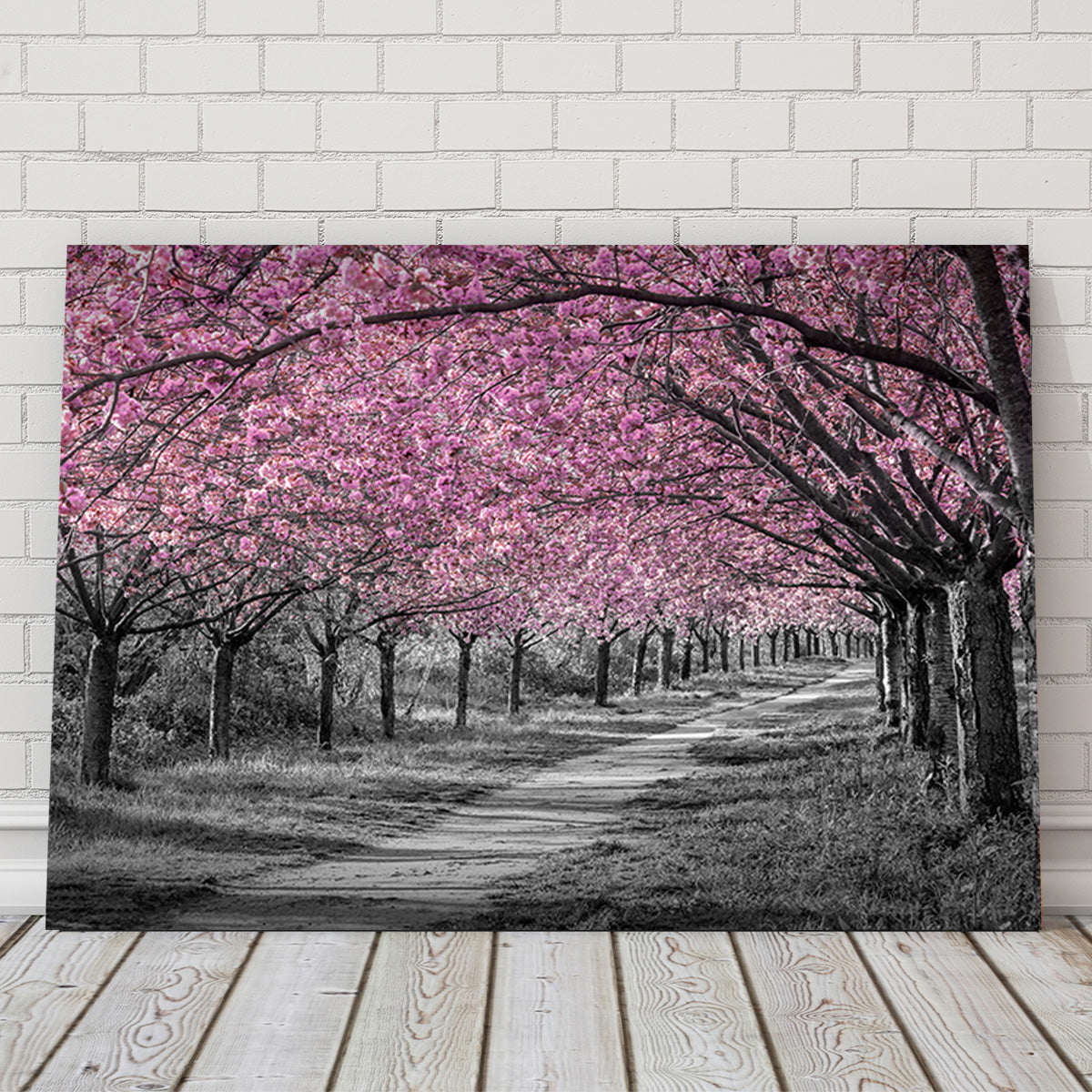 Charming Cherry Blossom Alley in Pink Wall Art