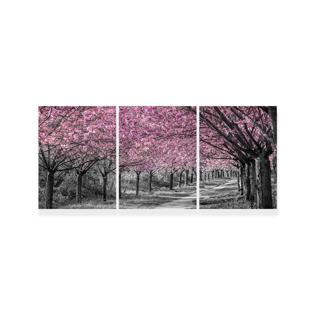 Charming Cherry Blossom Alley in Pink Wall Art