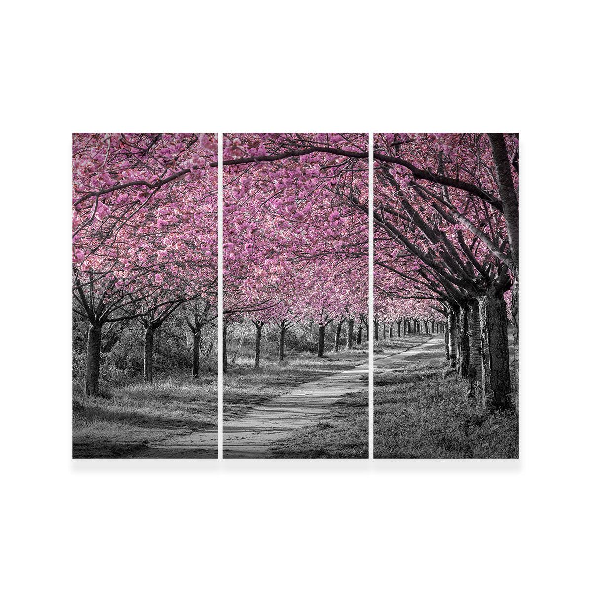 Charming Cherry Blossom Alley in Pink Wall Art