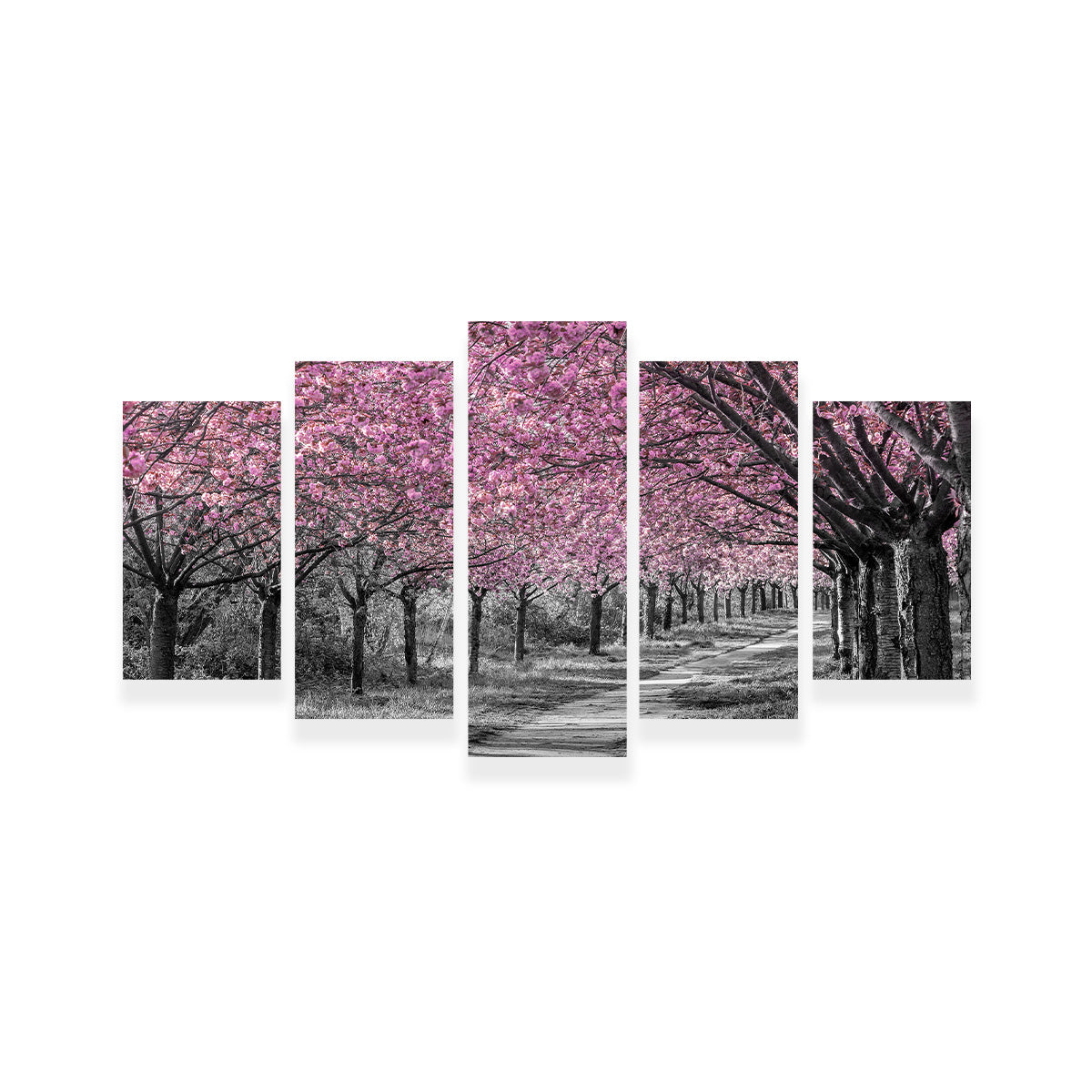 Charming Cherry Blossom Alley in Pink Wall Art