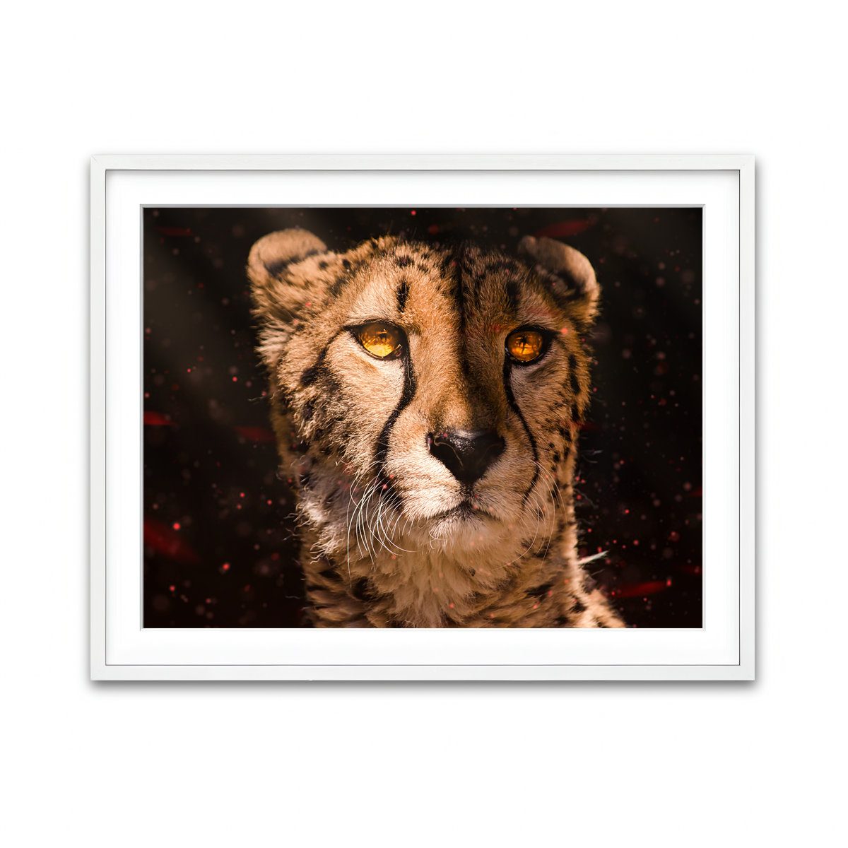 Framed Print 4x3 White