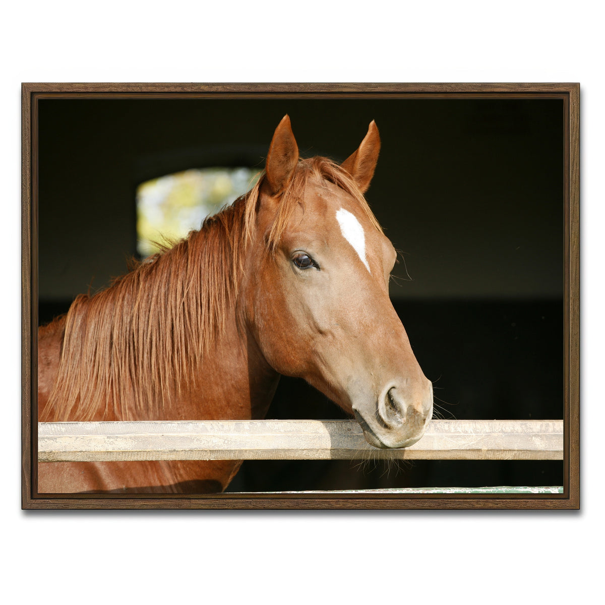 AUTO-MOCKUP WHITE | Chestnut horse | 1 Piece | Walnut Framed Canvas | group=4x3