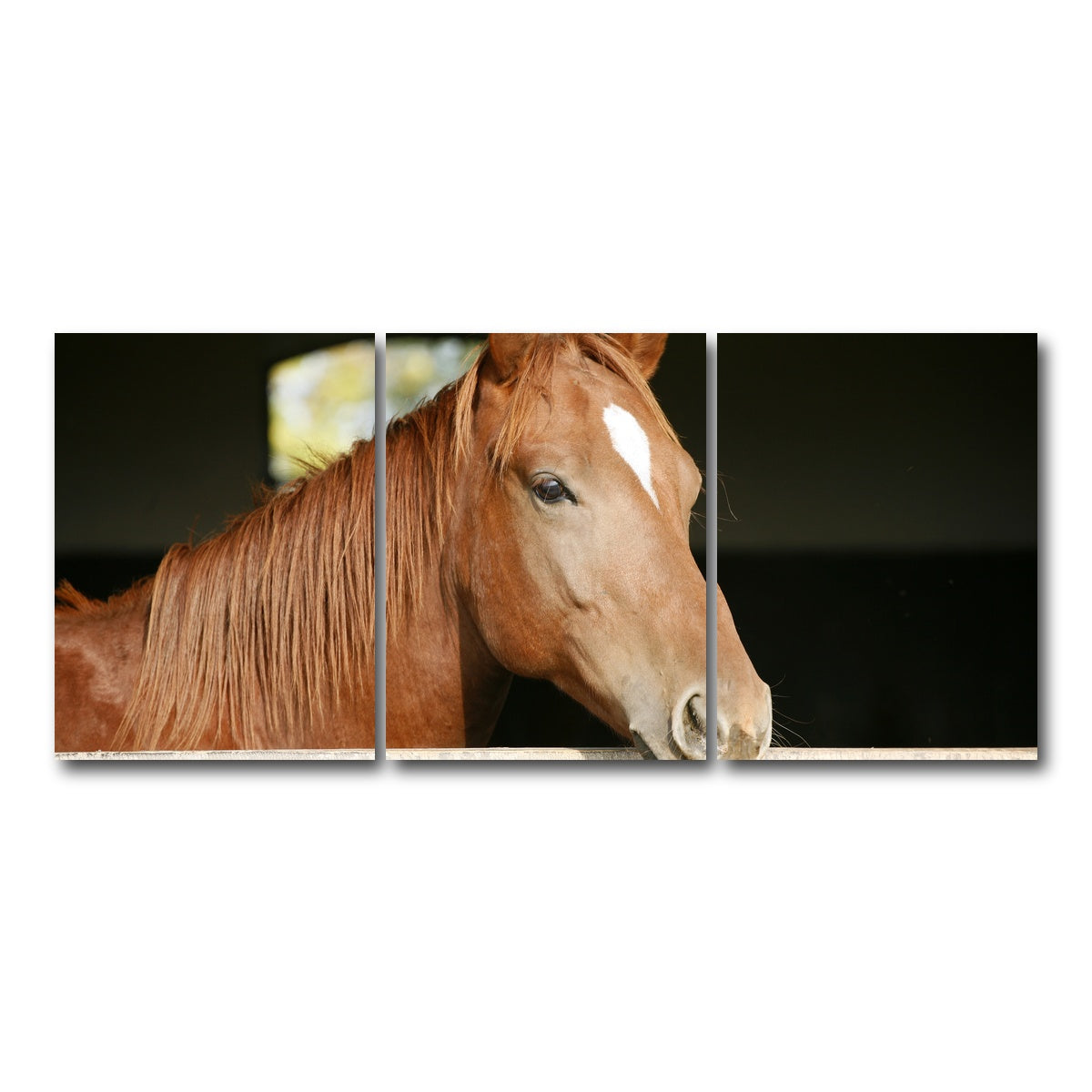 AUTO-MOCKUP WHITE | Chestnut horse | 3 Piece | Gallery Wrap Canvas | group=18x24