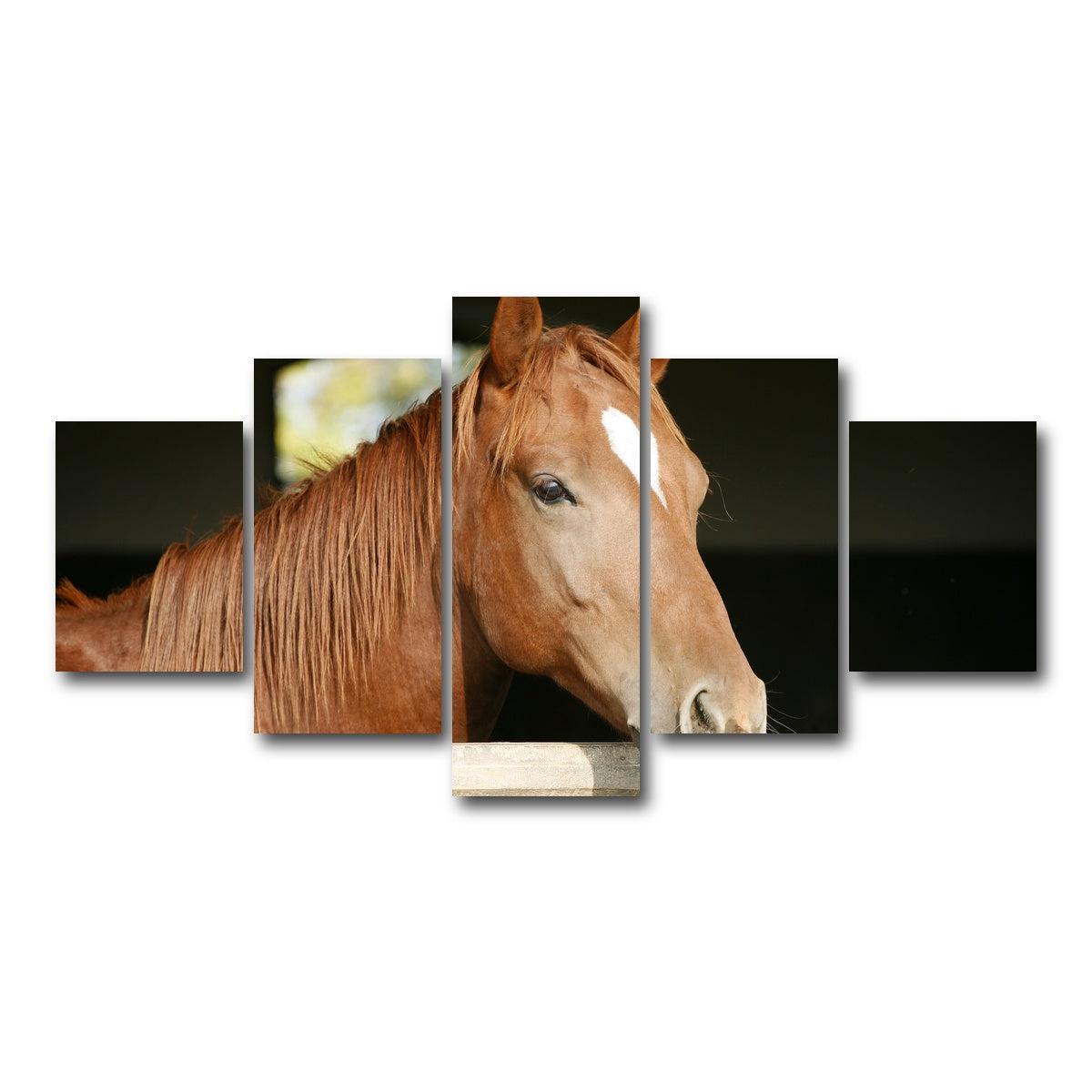 AUTO-MOCKUP WHITE | Chestnut horse | 5 Piece | Gallery Wrap Canvas | group=5_short