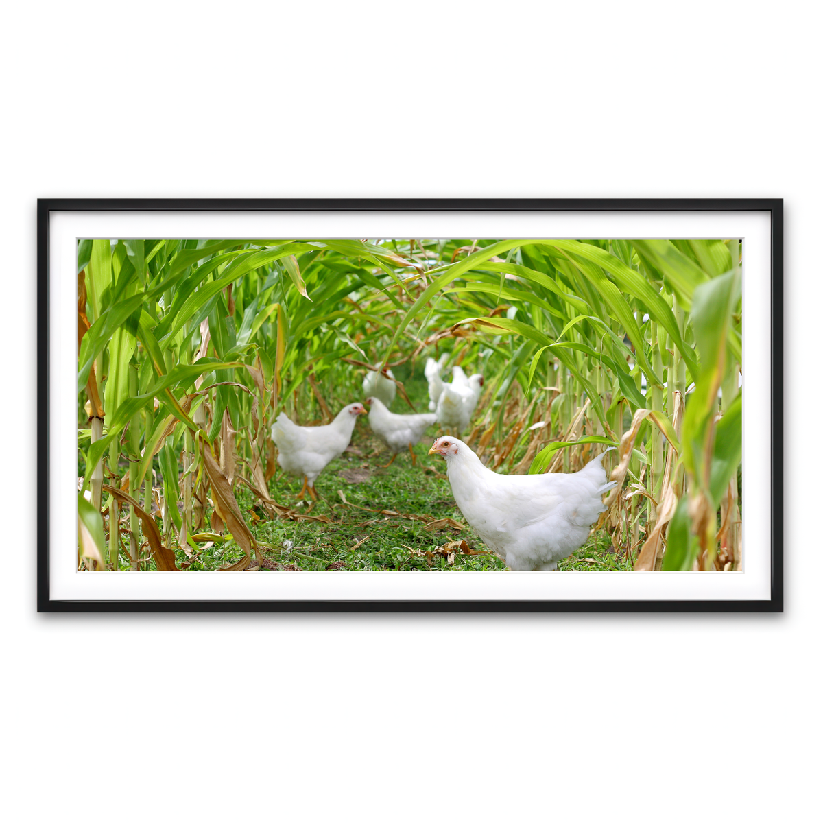 Framed Print 2x1 Black