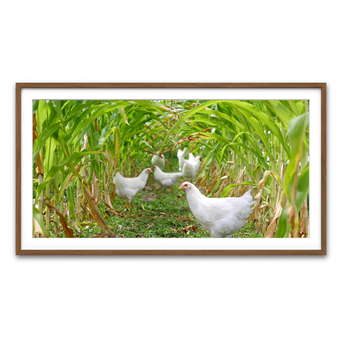 Framed Print 2x1 Walnut