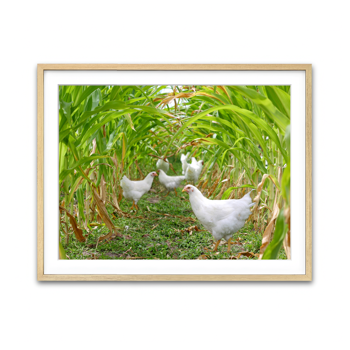 Framed Print 4x3 Natural