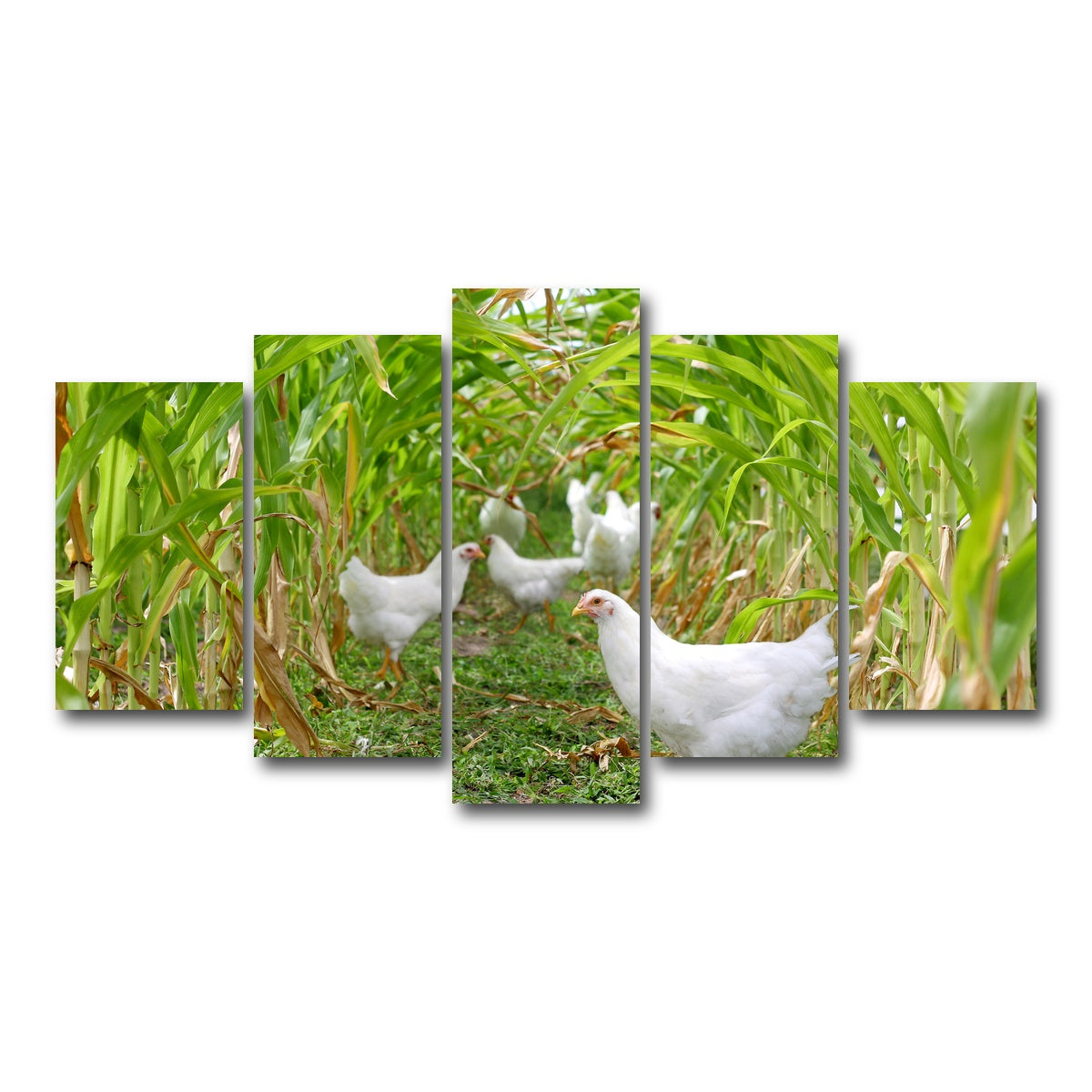 AUTO-MOCKUP WHITE | Chickens in Corn Field | 5 Piece | Gallery Wrap Canvas | group=5_normal
