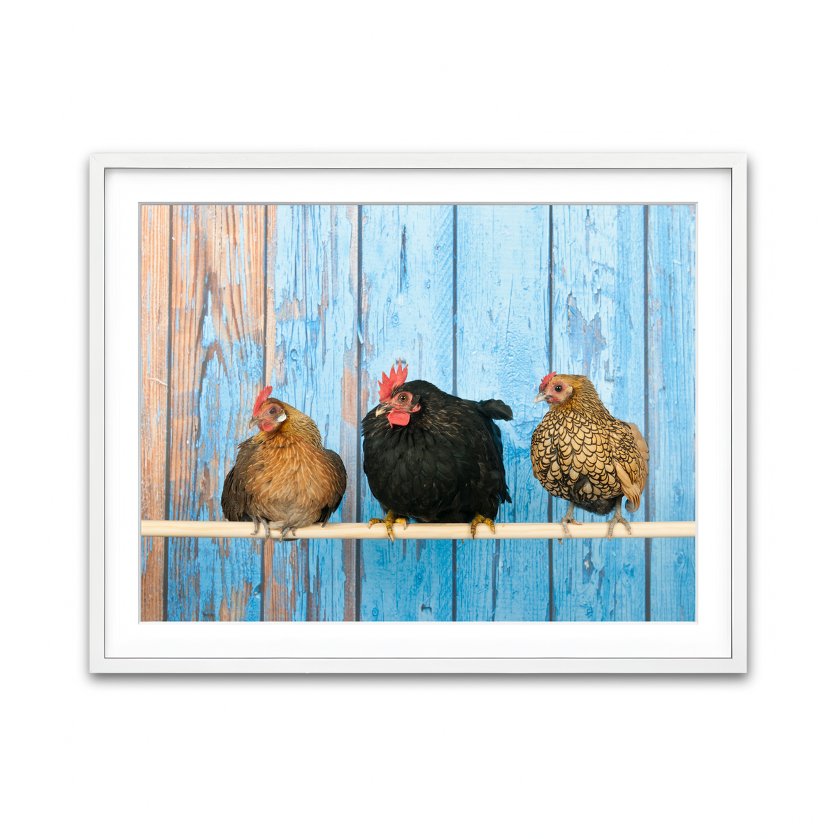 Framed Print 4x3 White