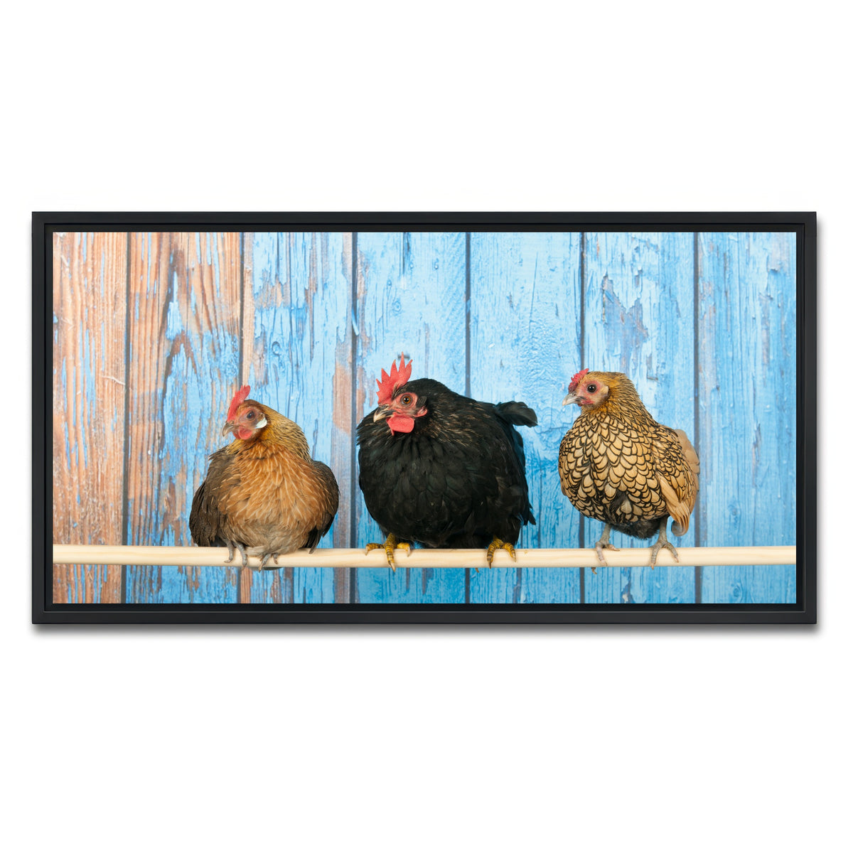 AUTO-MOCKUP WHITE | Chickens in henhouse | 1 Piece | Black Framed Canvas | group=2x1