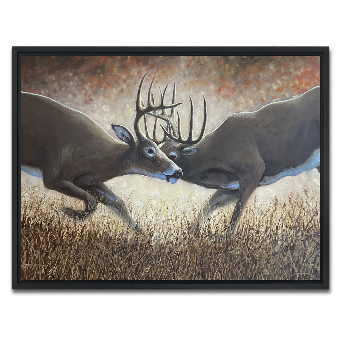 AUTO-MOCKUP WHITE | Clashing Elk | 1 Piece | Black Framed Canvas | group=4x3