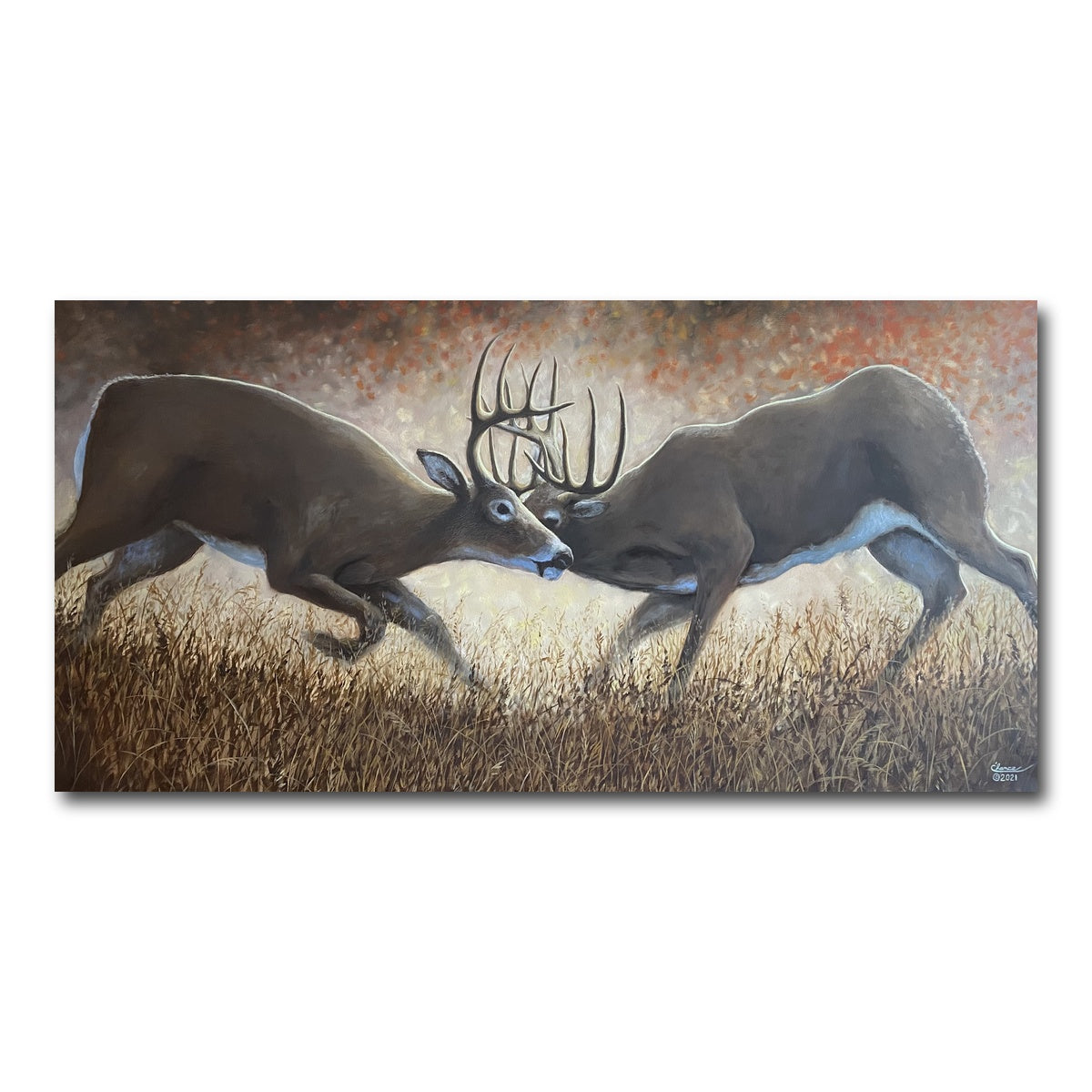 AUTO-MOCKUP WHITE | Clashing Elk | 1 Piece | Gallery Wrap Canvas | group=2x1