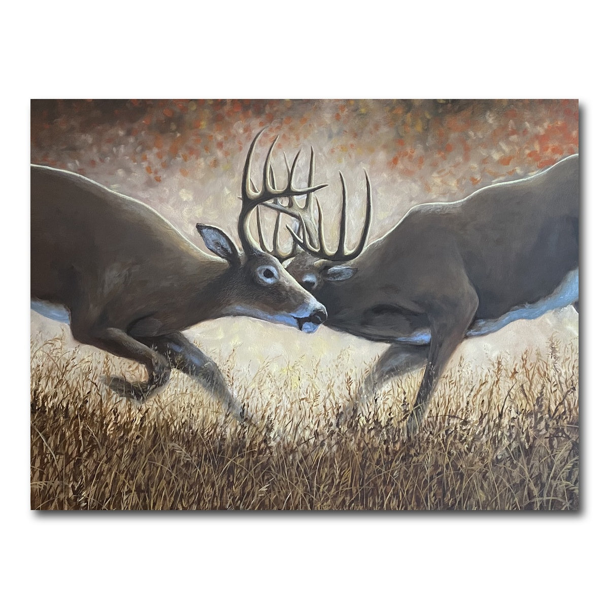 AUTO-MOCKUP WHITE | Clashing Elk | 1 Piece | Gallery Wrap Canvas | group=4x3