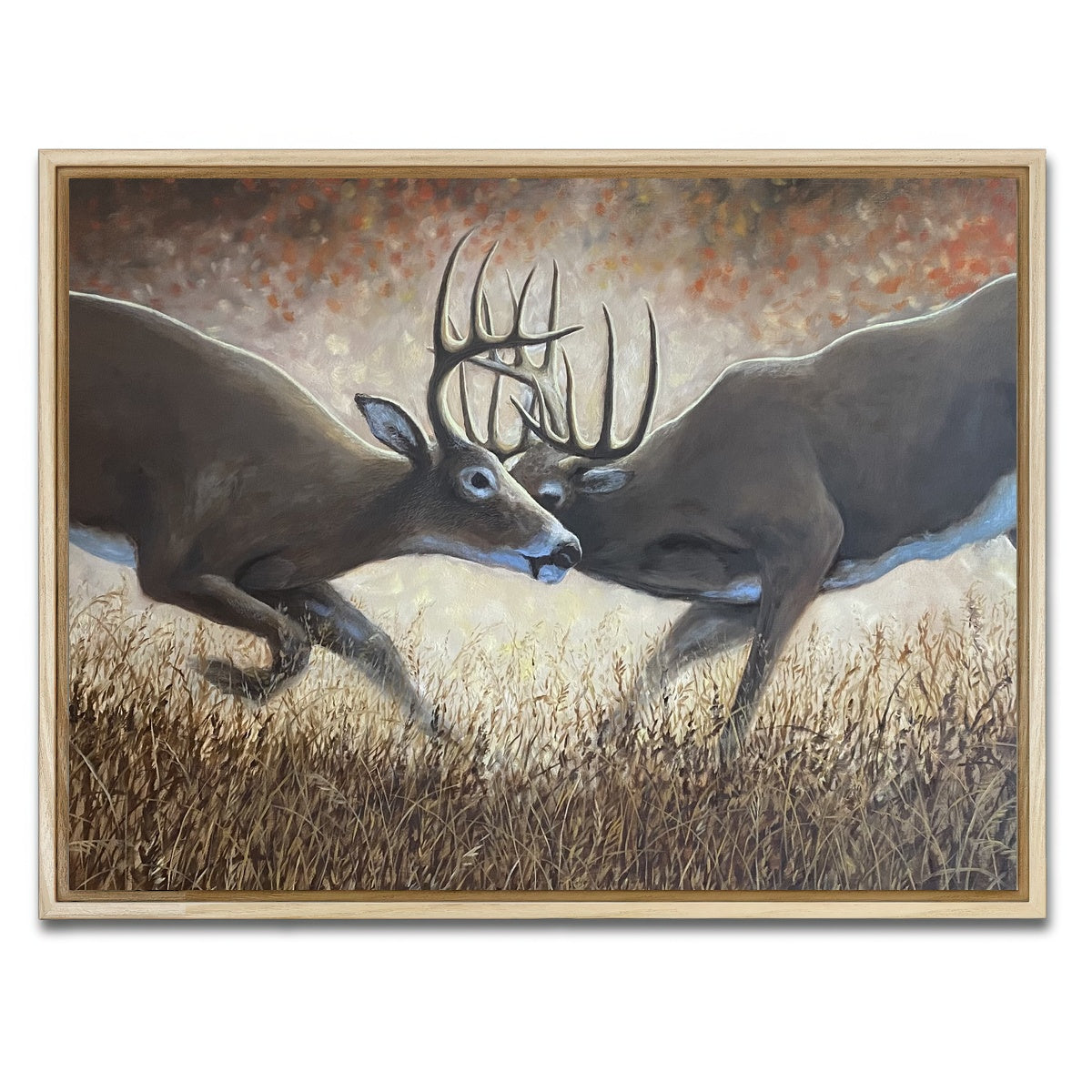 AUTO-MOCKUP WHITE | Clashing Elk | 1 Piece | Natural Framed Canvas | group=4x3