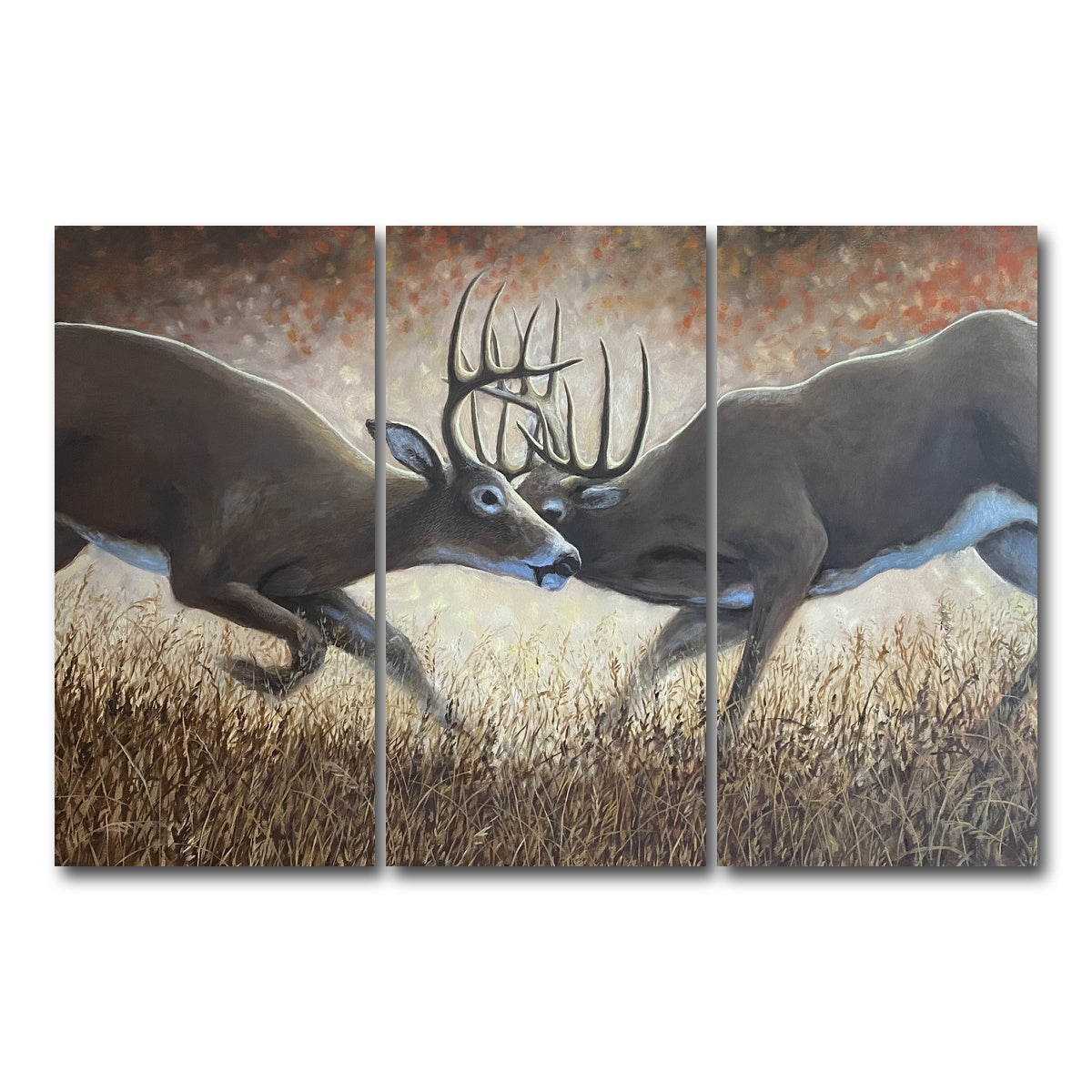 AUTO-MOCKUP WHITE | Clashing Elk | 3 Piece | Gallery Wrap Canvas | group=12x24
