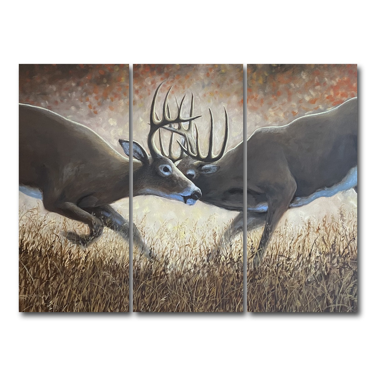 AUTO-MOCKUP WHITE | Clashing Elk | 3 Piece | Gallery Wrap Canvas | group=8x18