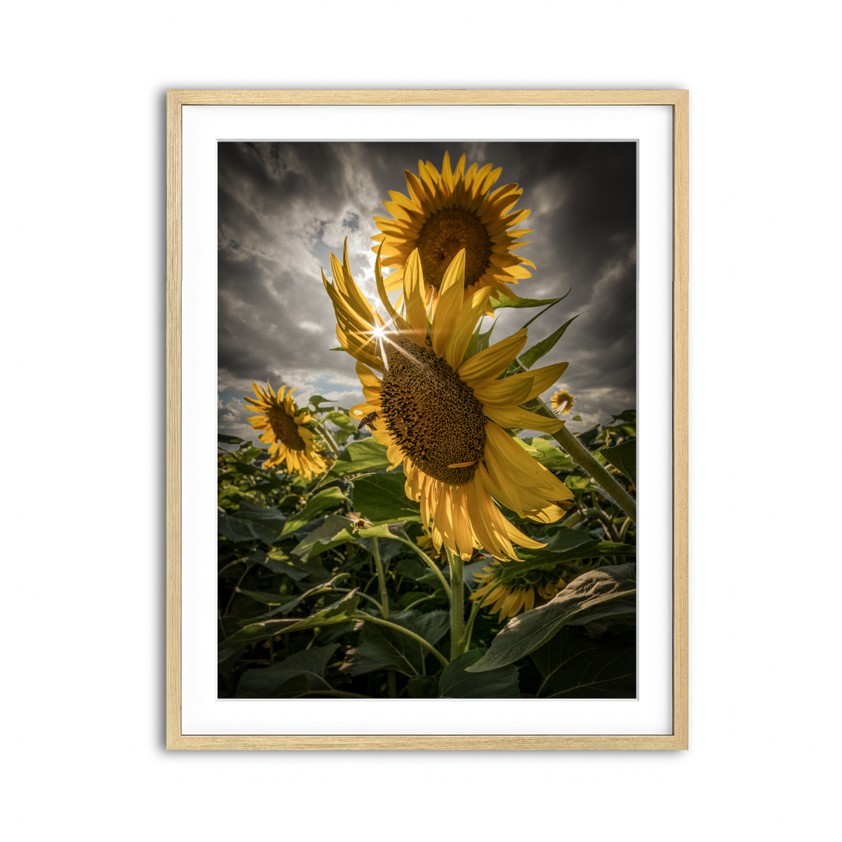 Framed Print 3x4 Natural