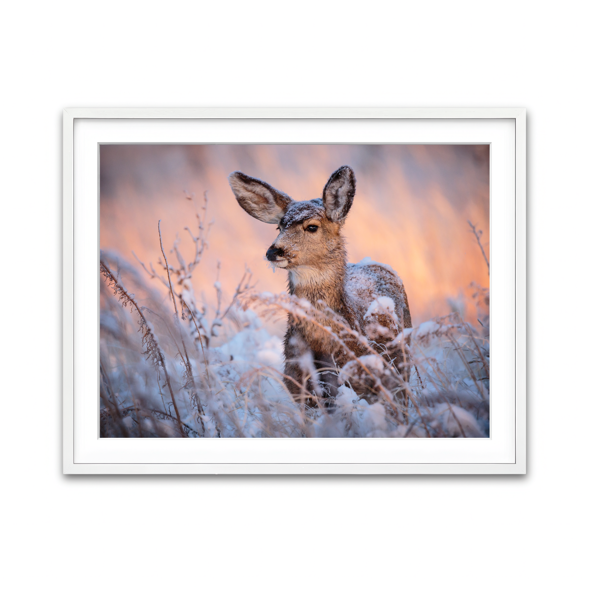 Framed Print 4x3 White