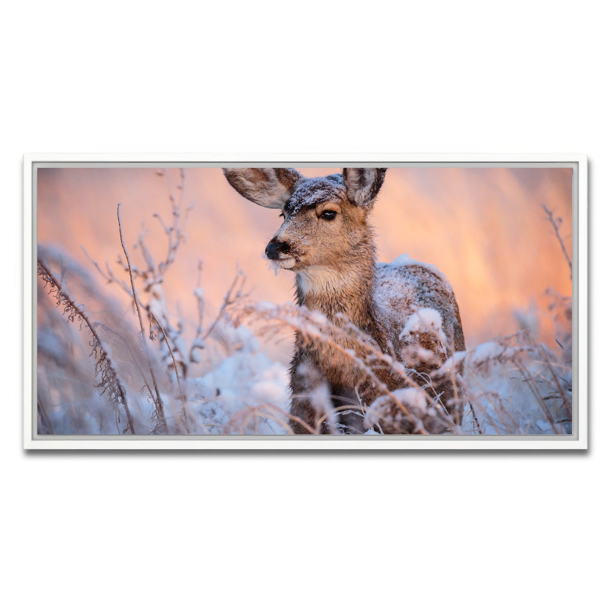 AUTO-MOCKUP WHITE | Colorado Doe | 1 Piece | White Framed Canvas | group=2x1