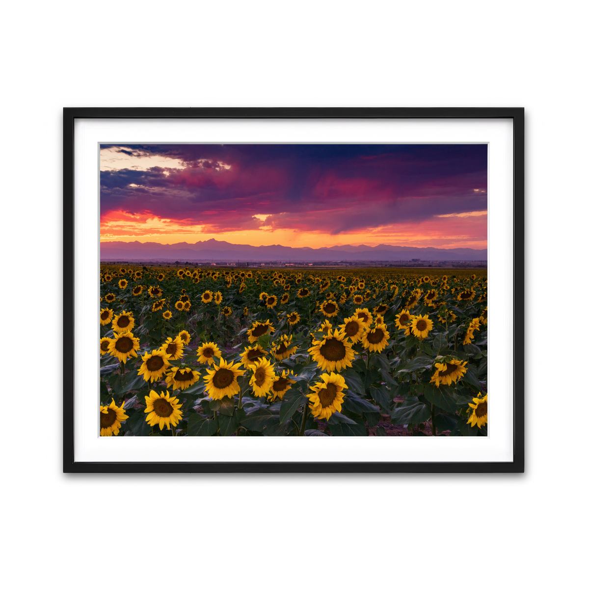Framed Print 4x3 Black