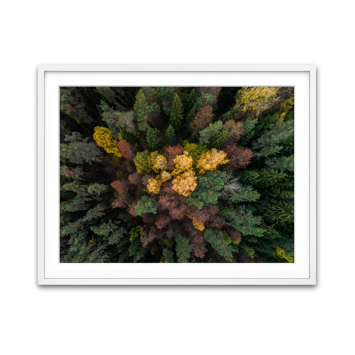 Framed Print 4x3 White